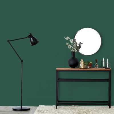 Peinture murs, boiseries et radiateurs vert cardo satin 2,5L RIPOLIN