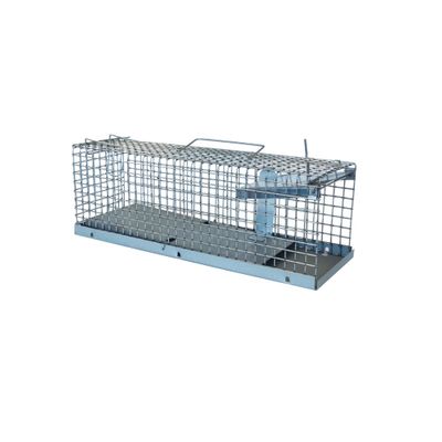Nasse pour capture de rats avec piège basculant et 1 entrée - BSI