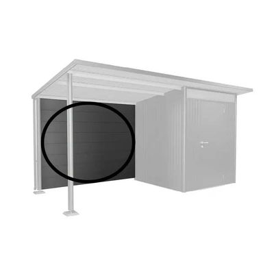 Paroi arrière pour Auvent pour abri de jardin AvantGarde gris foncé métallique T. L  - BIOHORT