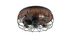 Ventilateur de plafond industriel 4xE27 + télécommande Noir/bois Ø48cm - Trondheim REALITY