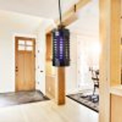 Destructeur d'insectes à lampe UV Junior - WINDHAGER