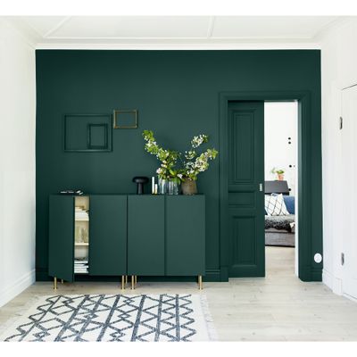 Peinture Crème de Couleur Eucalyptus satin 1,25 l - DULUX