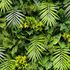 Mur végétal artificiel Exotic 1m x 1m AG'CO