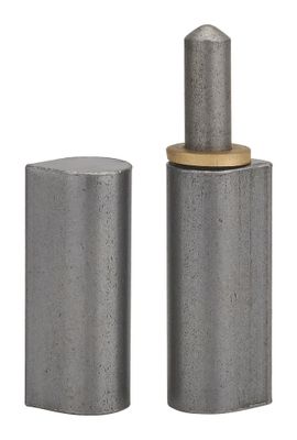 Paumelle à souder hauteur 120 mm avec bague laiton THIRARD