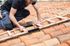 Echelle plate de toit 2 x 2,5 m Safety Roof en bois - HAILO