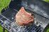Barbecue à charbon de bois EXEL GRILL - SOMAGIC Livraison à domicile incluse