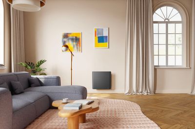 Radiateur double technologique EVOLUTION 1500W gris horizontal - NOIROT