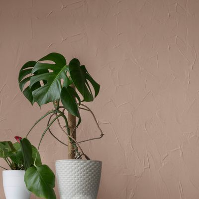 Colorant ultra-concentré pour peinture 100 ml ombre calcinée 2055 RICHARD