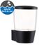 Applique extérieur montante E27 Bako anthracite IP44 20W - PAULMANN