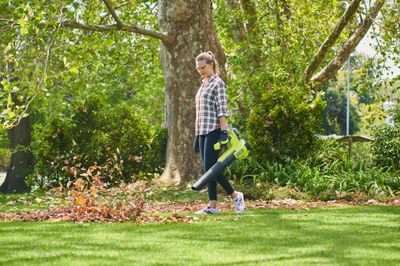 Souffleur de feuilles à batterie 18V RY18BLB-0 RYOBI