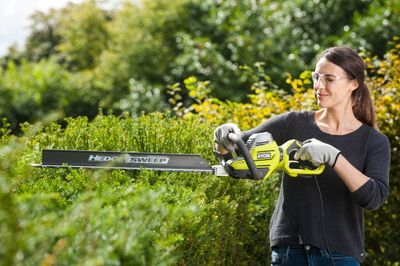 Taille-haie électrique 800 W lame 65 cm RHT8165RL RYOBI