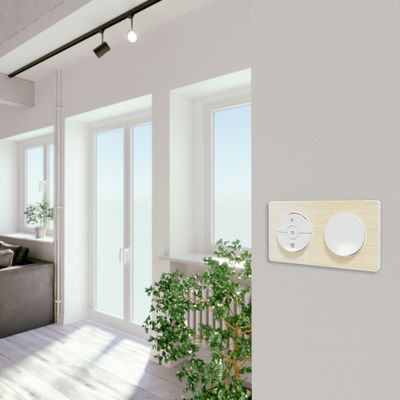 Plaque de finition 2 postes bois clair nordique - Odace 2011 Touch SCHNEIDER ELECTRIC