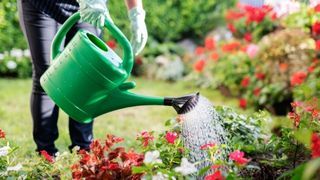 Nomenclature Pulvérisateur - Arrosoir - Jerrican