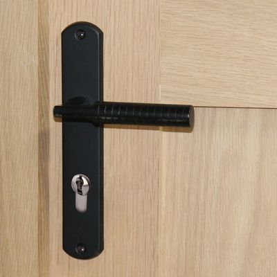 Poignées de porte sur plaque à cylindre Jussieu L noir LINEA BERTOMANI