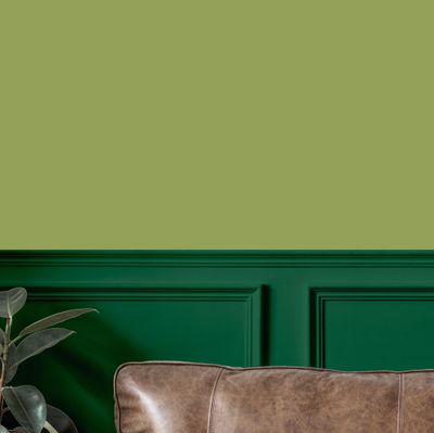 Colorant ultra-concentré pour peinture 100 ml vert frais 2046 RICHARD