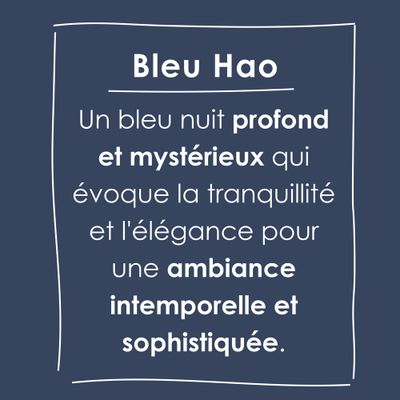 Peinture O'pur murs boiseries radiateurs Bleu Hao satin 2L RIPOLIN