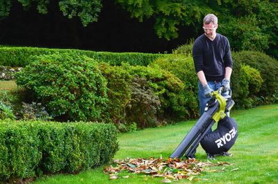 Aspirateur souffleur à batterie avec broyeur RBV36V RYOBI