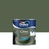 Peinture crème de couleur Vert Tropical mat 0,5L - DULUX VALENTINE