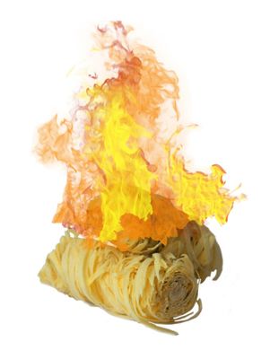 Allume-feu en laine de bois 1,5 kg - CHEMINETT
