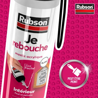 Mastic universel Perfect Home multi application blanc prêt à l'emploi 280 ml RUBSON