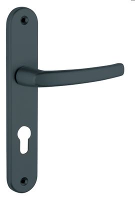 Poignées de porte sur plaques à cylindre Sultane gris anthracite THIRARD