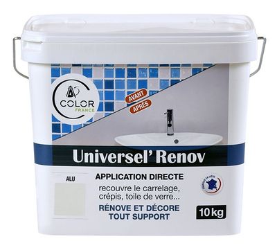UNIVERSEL RENOV Gris Clair ALU 10kg COLOR FRANCE