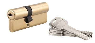 Cylindre de serrure double entrée 30 x 50 mm Trafic 6 haute sécurité laiton 5 clés THIRARD