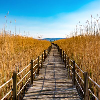 Poteau carré pin bords arrondis traité classe 4 vert - 70 x 70 x 2400 mm - HENRY TIMBER