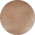 Disque à poncer flexible en carbure de tungstène diamètre 225 mm grain 60 SEA