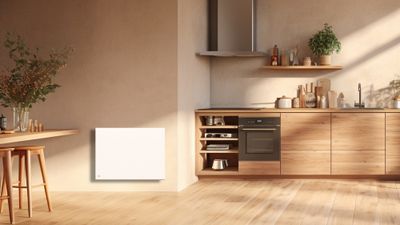 Radiateur à inertie sèche NESSA CONNECT wi-fi 2000W blanc horizontal - BESTHERM