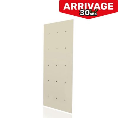 Plaque de plâtre standard BA13 NF pour pièce à vivre - H.250 x l.120 cm - PLACO®