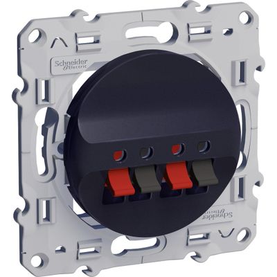 Prise haut-parleurs anthracite - Odace SCHNEIDER ELECTRIC