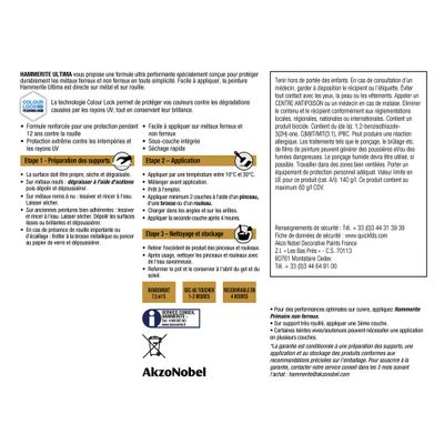 Peinture fer extérieur ultima noir RAL 9005 brillant 750 ml - HAMMERITE