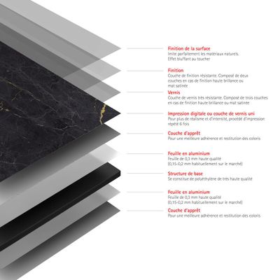 Panneaux muraux de douche 100x100x255 cm marbre anthracite or DécoDesign Softtouch - SCHULTE