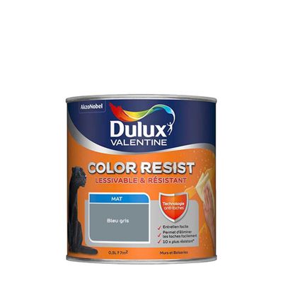 Peinture Color Resist murs et boiseries mat Bleu Gris 0,5 L - DULUX VALENTINE