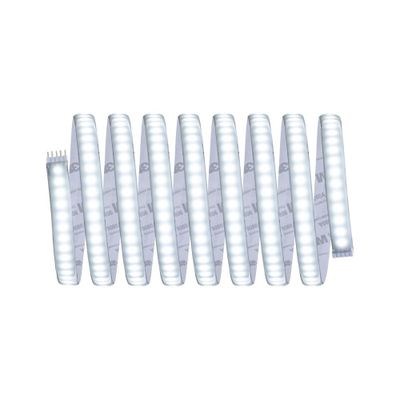 Ruban LED 3m prêt à l'emploi blanc froid IP44 40W 24V MAXLED 1000 PAULMANN