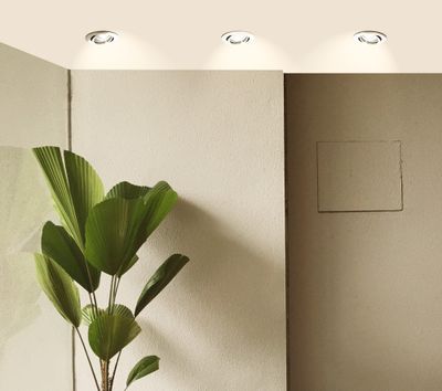 Spot LED encastrable dimmable et orientable module remplaçable Acier - Ruby ARLUX