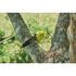 Élagueur 20 cm + Taille-haies sur perche 45 cm 18V ONE+ Combo 2-en-1 RPP1820PT1845-120 - RYOBI