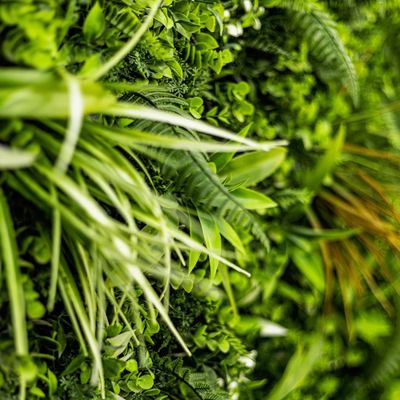 Mur végétal artificiel savane 1m x 1m AG'CO