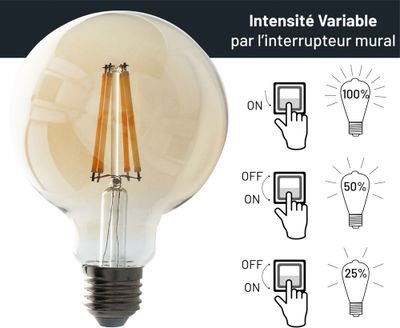 Ampoule LED globe 95 mm ambrée 6W 720 lumens dimmable blanc chaud - ARLUX