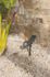 Spot à piquer extérieur solaire LED Spiky noir IP65 400 lumens blanc chaud - ARLUX