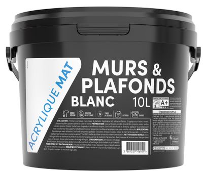 Peinture intérieure Murs et Plafonds Acrylique Blanc MAT 10 L - TDP