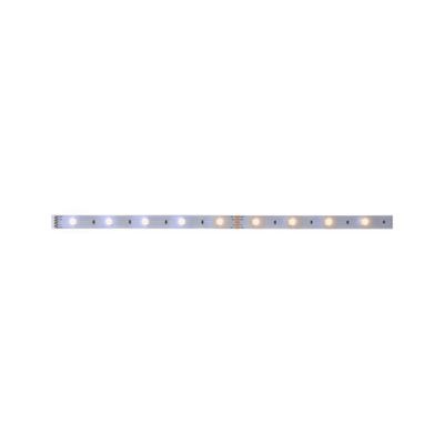 Ruban LED 1m blanc dynamique 3,5W 24V Extension MAXLED 250 PAULMANN