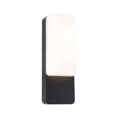 Applique extérieur LED IP44 800 lumens blanc chaud Anthracite - Bonnie PAULMANN