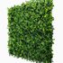Mur végétal artificiel lierre 1m x 1m AG'CO