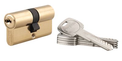 Cylindre de serrure double entrée 30 x 30 mm Trafic 6 haute sécurité laiton 5 clés THIRARD