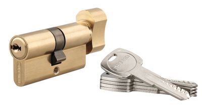 Cylindre de serrure à bouton 30 x 30 mm Trafic 6 haute sécurité laiton 5 clés THIRARD