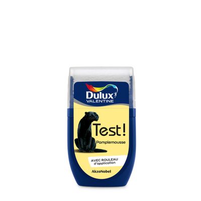 Testeur couleur Pamplemousse 30 mL - DULUX VALENTINE