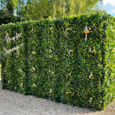 Mur végétal artificiel green 1m x 1m AG'CO