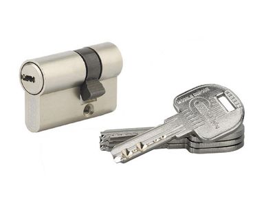 Demi-cylindre de serrure 30 x 10 mm Trafic 6 haute sécurité nickelé satiné 5 clés THIRARD